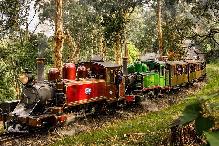 Excursão a Puffing Billy, Forest Trails e Yarra Valley