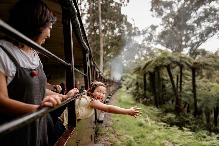 Excursão a Puffing Billy, Forest Trails e Yarra Valley