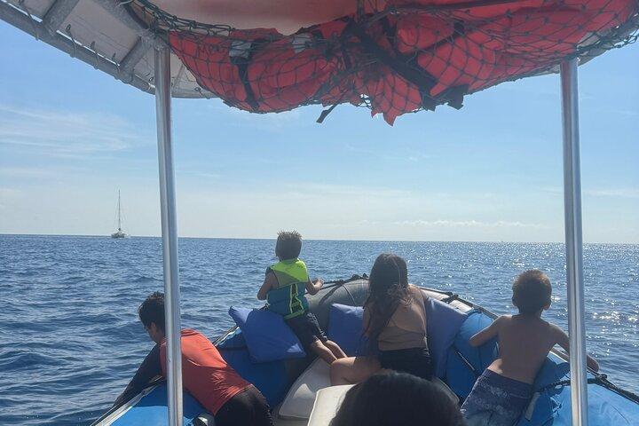 Doppia barriera corallina Snorkeling e Dolphin Watch a Kona