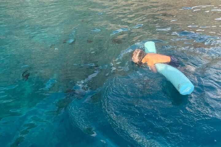 Doppia barriera corallina Snorkeling e Dolphin Watch a Kona
