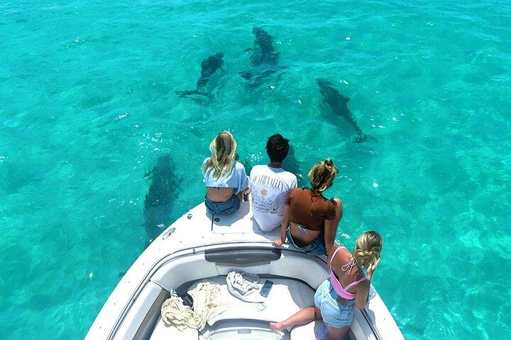 Key West Dolphin & Snorkeling Tour - Petit groupe