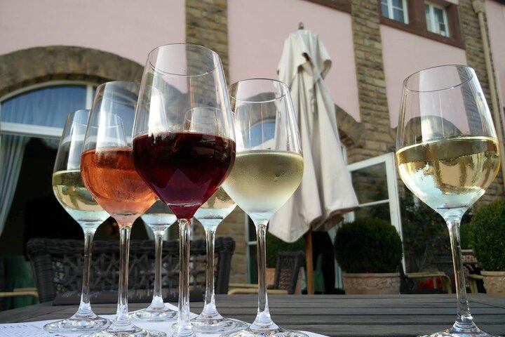Lussemburgo : degustazione di vini della Mosella e tour privato di un giorno al castello
