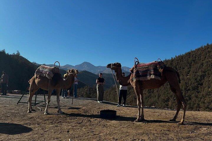 Ourika Valley & Atlas Mountains Day Trip from Marrakech