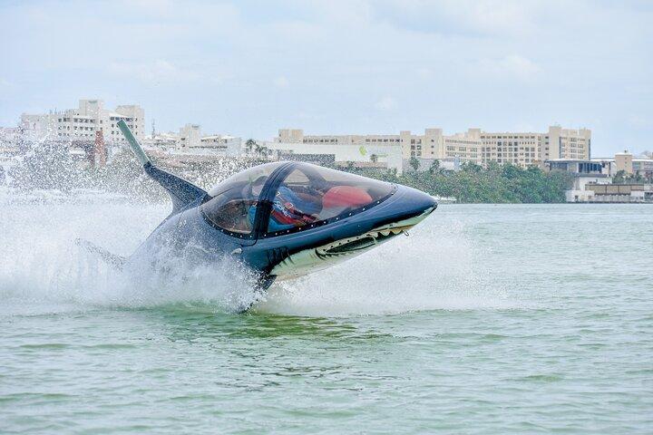 Giro degli squali a Cancun - Seabreacher