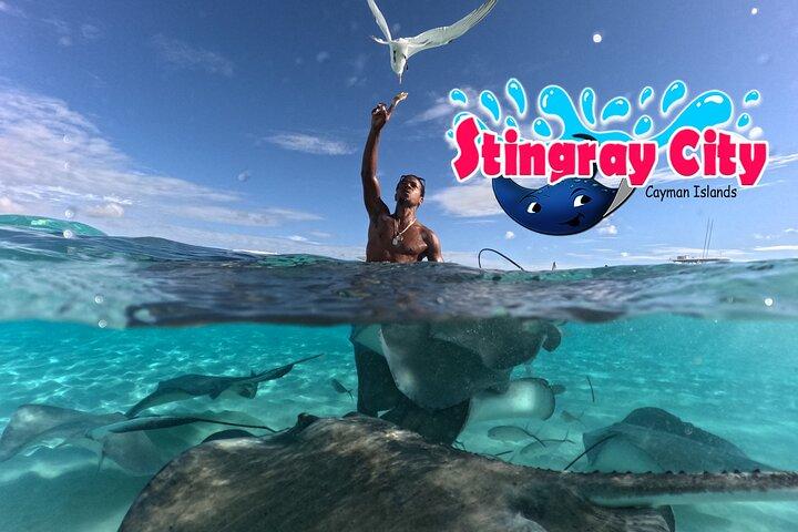 Stingray City and Starfish Experience with Coral Reef Snorkeling