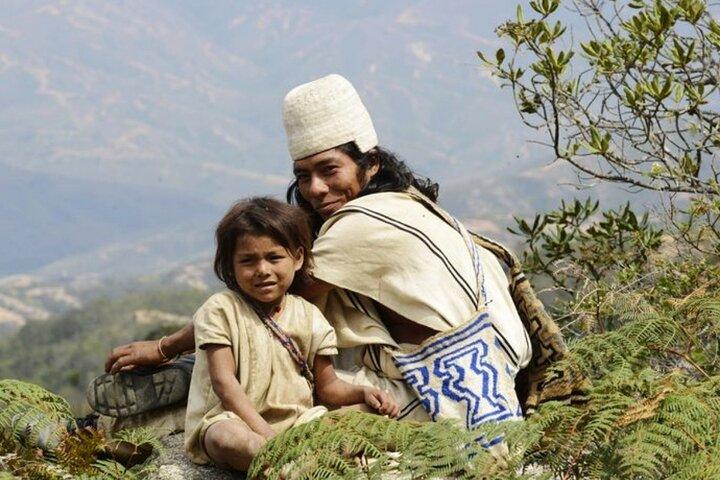 Indigenous Heritage Trekking in Minca : Cocoa, Cafe & Waterfall