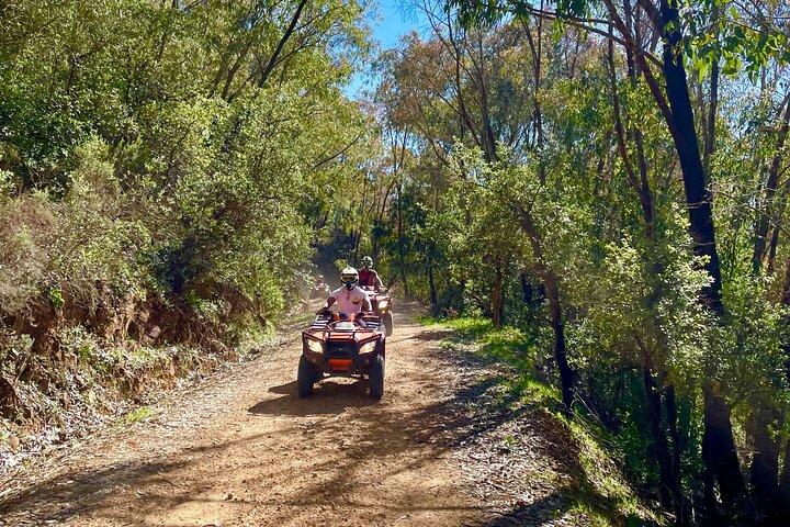 Quad Tanger Off Road Experience