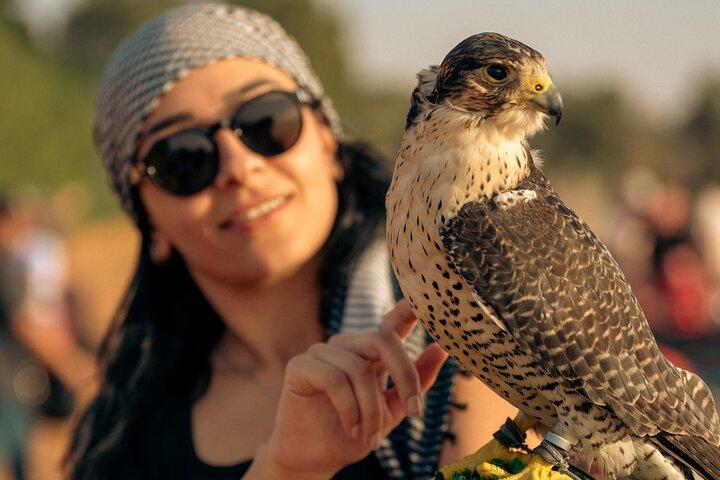 Dubai Halve dag Desert Safari ATV of Buggy rijden & Sandboarden