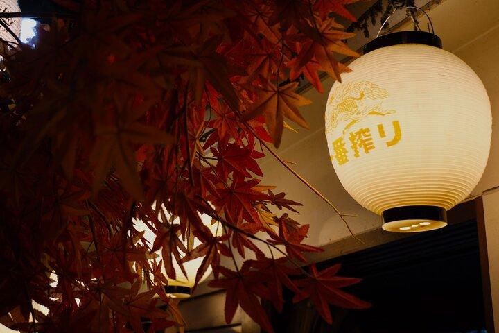 Tokyo Shinjuku Nightlife e tour a piedi di Izakaya
