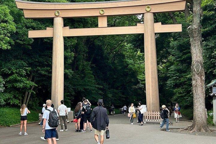 横浜発空港送迎付き東京プライベート観光ツアー