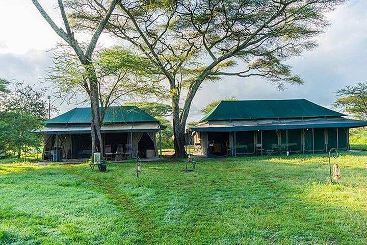 Discover the 5-Day Great Wildebeest Migration Mara River Crossing