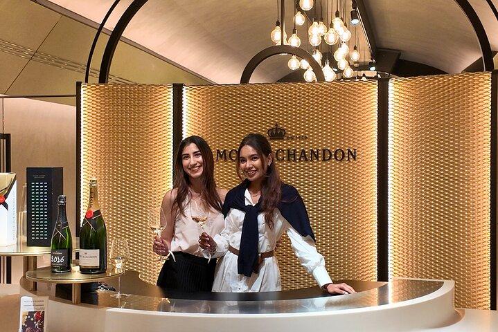 Ganztägiger Besuch bei einem Winzer der Familie Moët & Chandon in Reims oder Épernay
