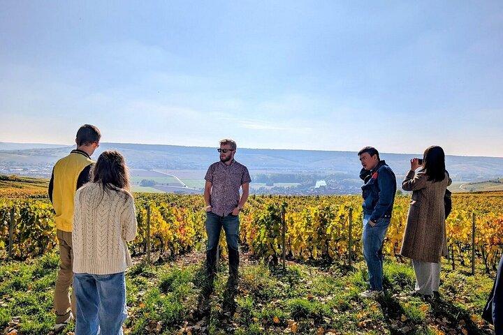 Von den Champagner-Winzerfamilien aus Reims