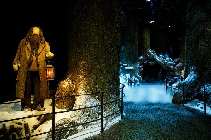 Visite du studio Warner Bros. avec transport depuis Londres
