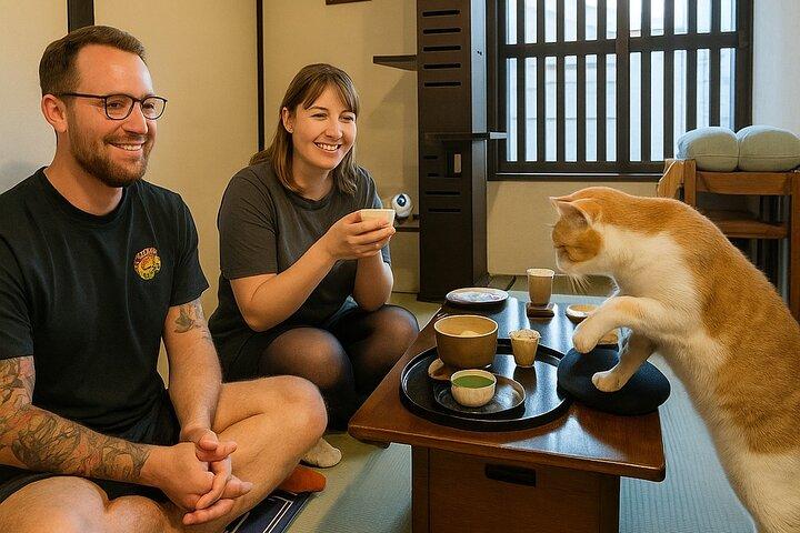 Private Teezeremonie im Kyoto Cat Sanctuary – Ethischer Rückzugsort