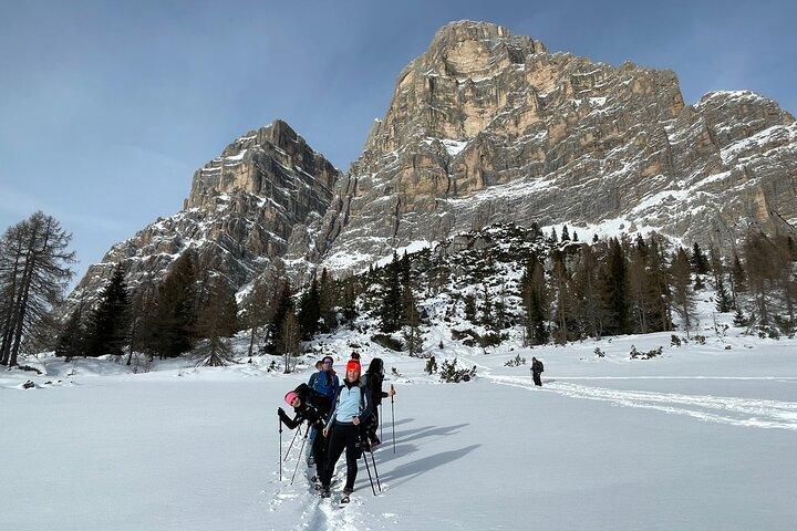Excursión guiada con raquetas de nieve en los Dolomitas desde Belluno