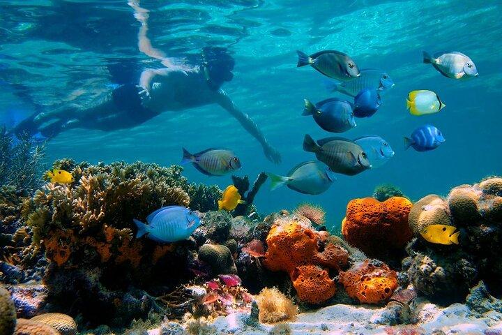 Paradise Island Cayo Arena Tour Snorkeling, Mangueiras, Comida local