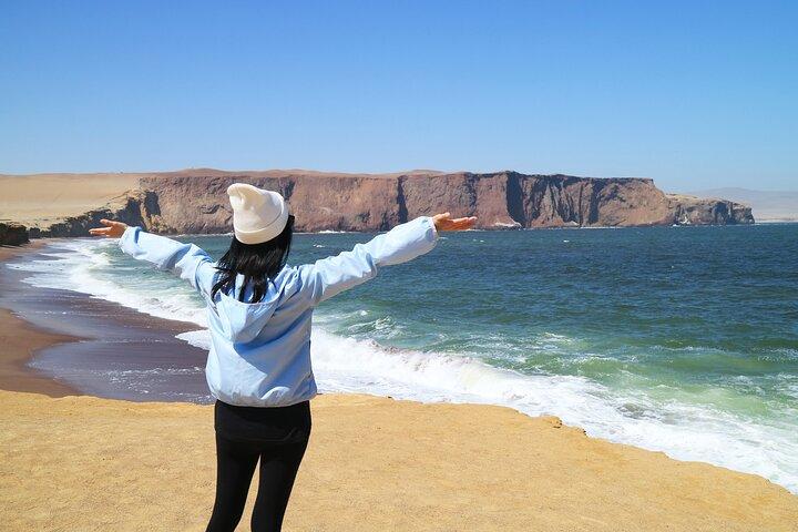 Paracas Coastal Wonder : Private Landtour ab Pisco Cruise Port