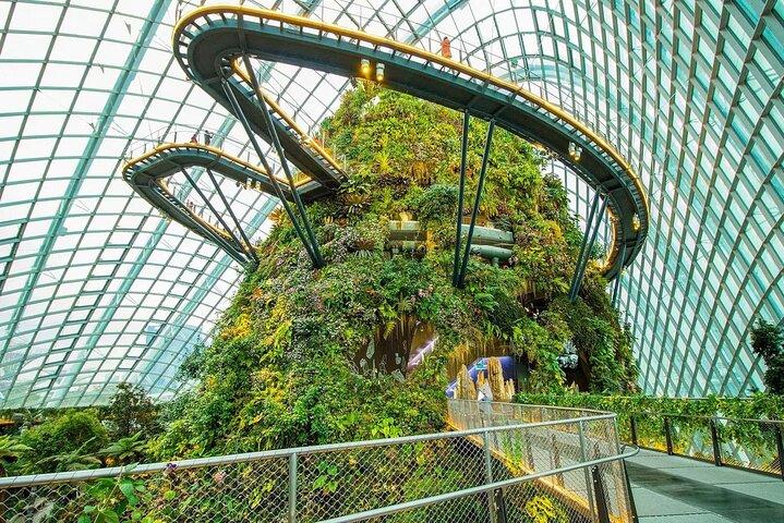 Bilhete de Entrada para Gardens by the Bay Flower Dome and Cloud Forest