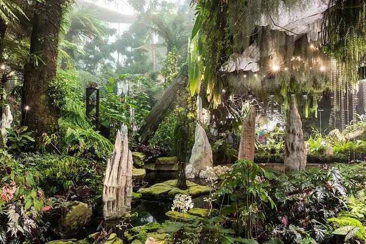 Bilhete de Entrada para Gardens by the Bay Flower Dome and Cloud Forest