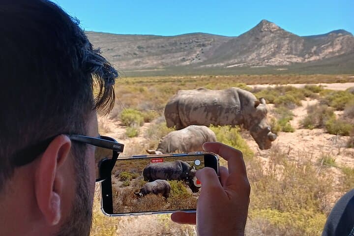Private tour: Big 5 Sunset Safari Experience &Wine tasting