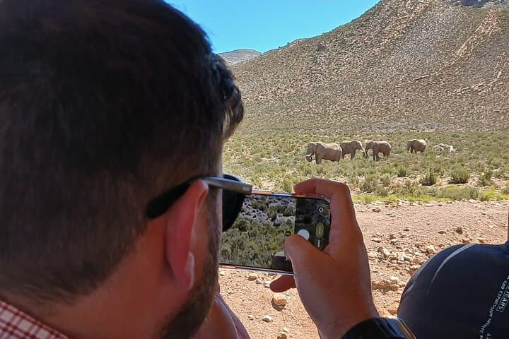 Private tour: Big 5 Sunset Safari Experience &Wine tasting