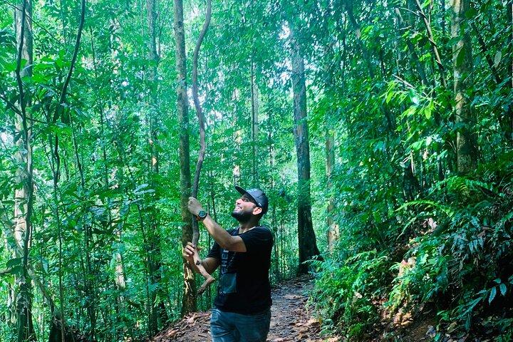 Sinharaja Rain Forest begeleide dagtour