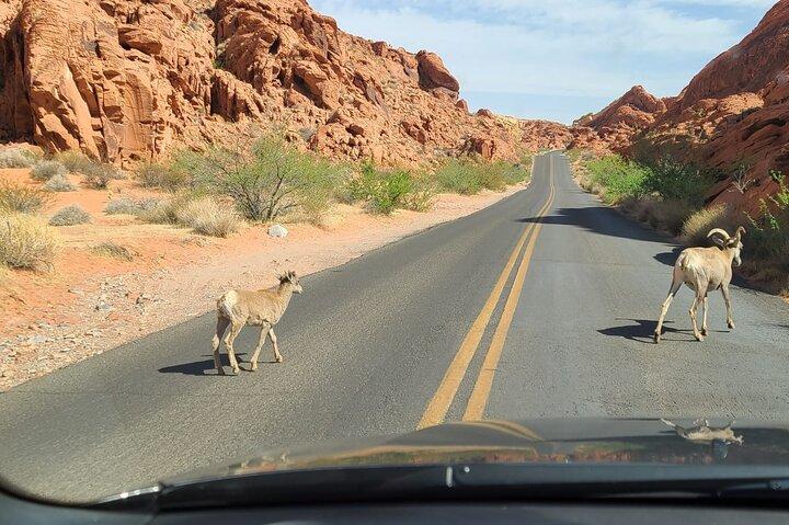Elddalen och Red Rock Canyon