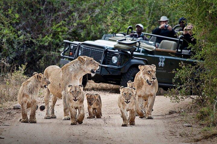 5 - Days Cape Town : Big Five Safari-Oudtshoorn - Knysna - Baía de Mossell