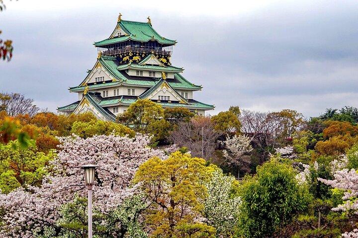 大阪、京都、奈良のいずれか1日貸切車サービス