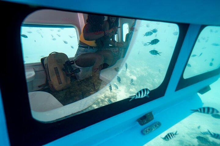 Semi Submarine Tour in Saint Anne Marine National Park