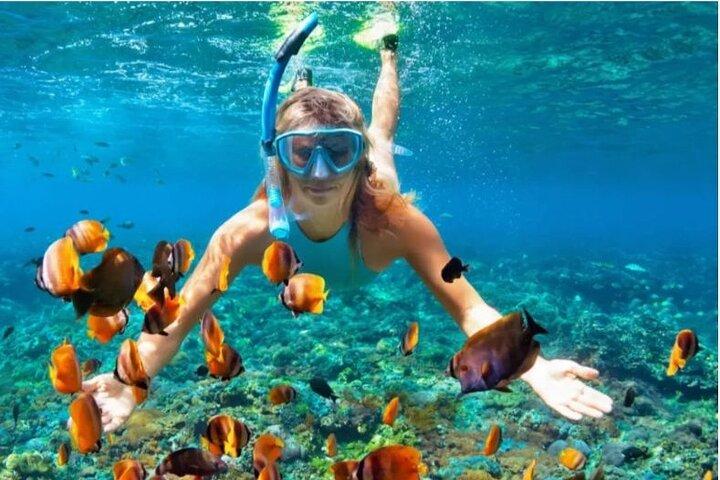 Tour avventura di snorkeling a Sosua con Guida e attrezzatura inclusa