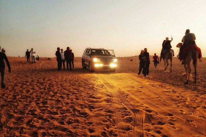 Dubaï : Dune Bashing Red Dunes 4x4 Pick & Drop Shows Dinner Camel