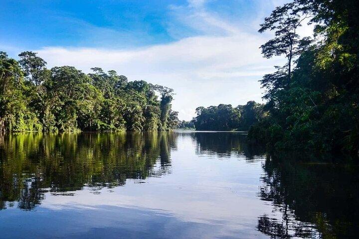 Tortuguero Tour en los Canales Canoa con Motor Eléctrico