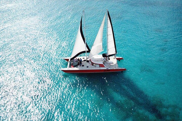 Crucero de buceo con tortuga catamarán y naufragio en Barbados