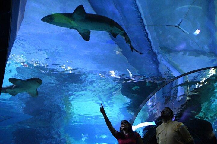 Billet til Bangkok Ocean World