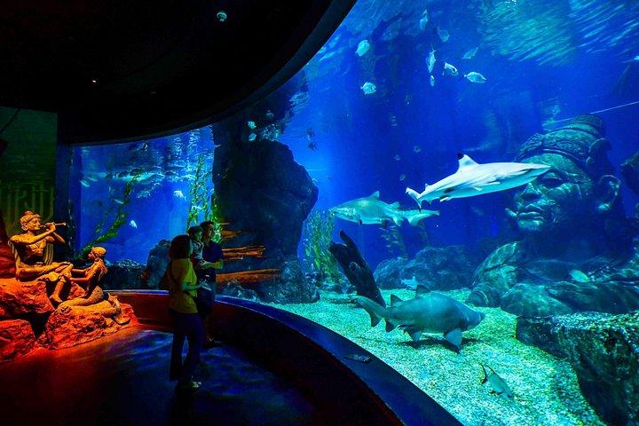 Billet til Bangkok Ocean World