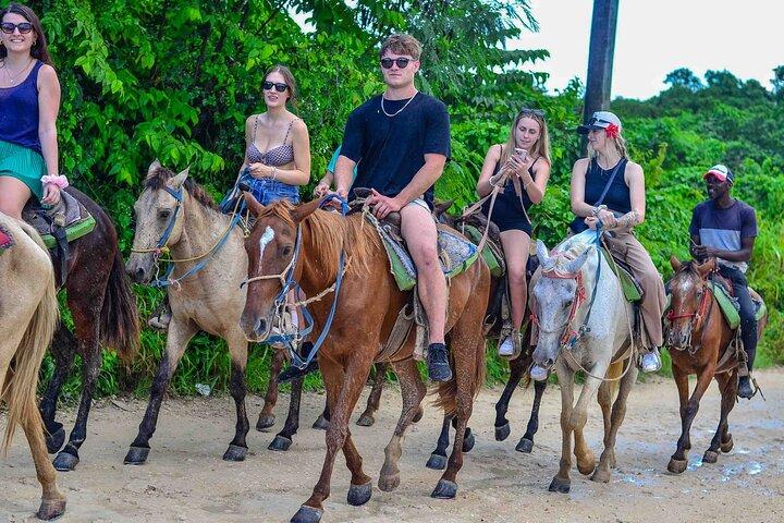Punta Cana Beach Horseback Ride Paradise Coast Experience