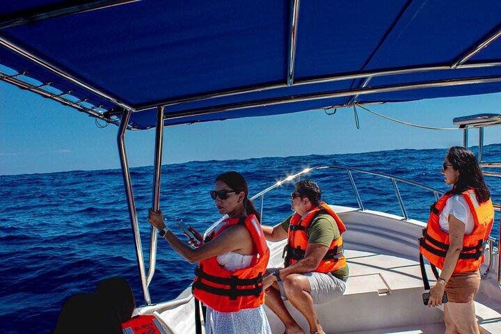Tour privato in barca dell'arco di Cabo San Lucas
