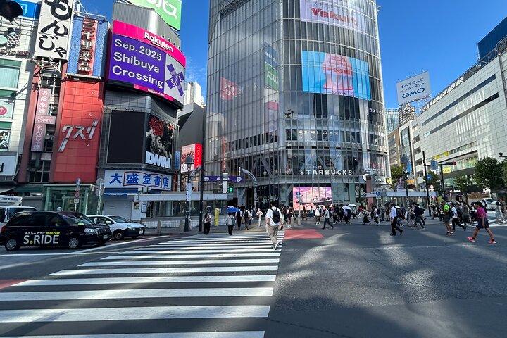 Tokyo Private Walking Tour Shibuya, Harajuku e Meiji Jingu