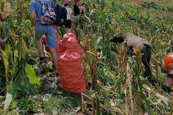 Sapa Trekking Tour: Y Linh Ho & Lao Chai with Local Guide
