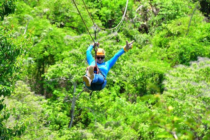 Entdecken Sie Roatan mit Zipline Wildlife und Strände