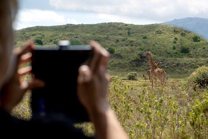 「リトル・レッド・ローバー」でアルーシャ国立公園へ日帰りサファリ