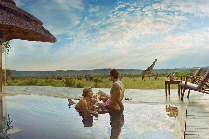 5 dage Safari Tarangire, Ngorongoro og Serengeti Royal Experience