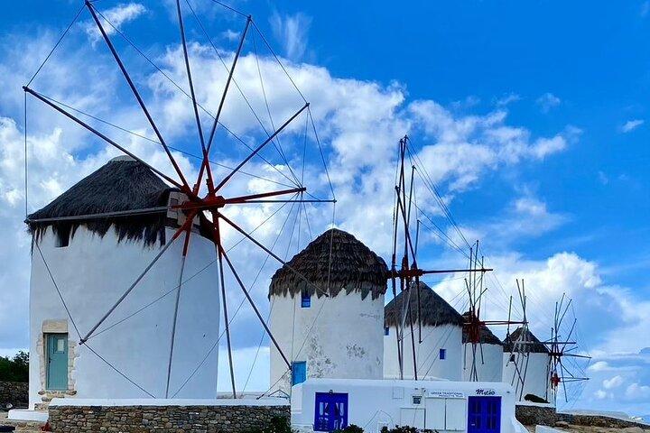 Mykonos Halvdagstur med topphöjdpunkter