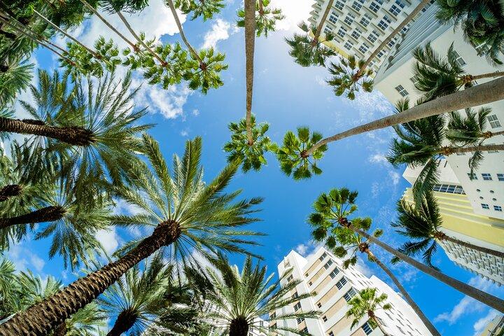 Det bästa med Miami: Sightseeingtur