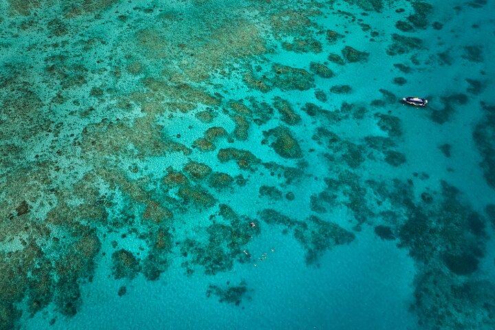 Cairns Great Barrier Reef Schnorcheln und Flugabenteuer