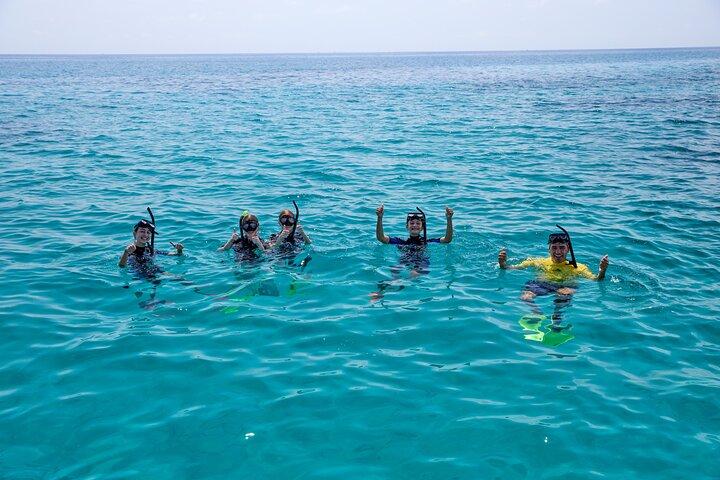 Cairns Great Barrier Reef Schnorcheln und Flugabenteuer