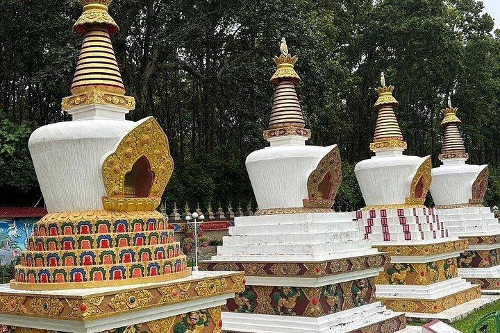 Rishikesh: 5-Hour Mindrolling Monastery & Great Stupa Tour