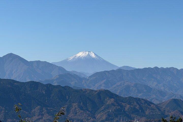 Private Mt. Takao Hike & Onsen from Shinjuku with Ex-JR Conductor